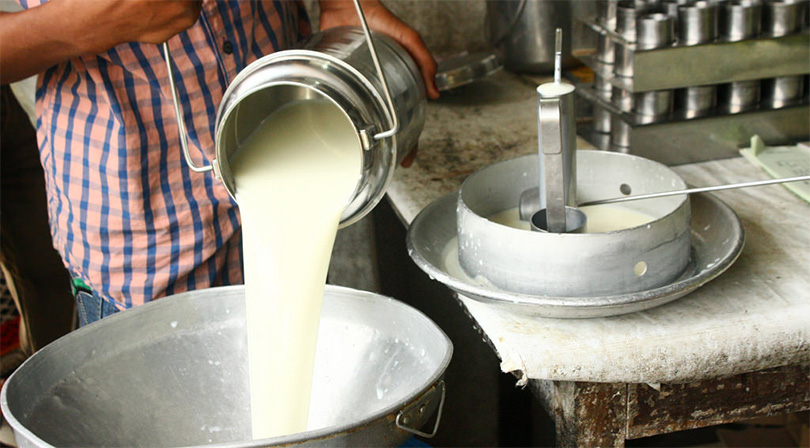 कृत्रिम गर्भाधानले दूध उत्पादन बढाउँदै