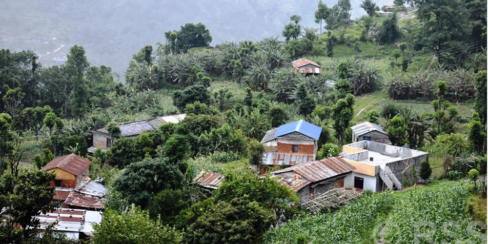 केरा बेचेर वार्षिक रू डेढ करोडभन्दा बढी आम्दानी