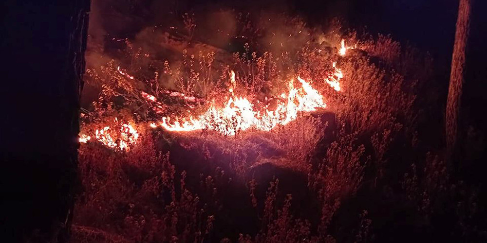डढेलो नियन्त्रणमा सेनाको सक्रियता