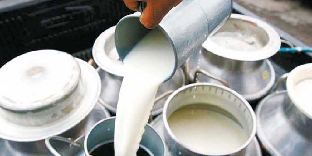 दुग्ध किसानले १५–१५ दिनमा भुक्तानी पाउने