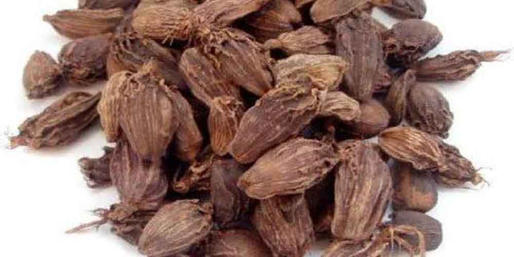 अलैंचीको मूल्य बढ्यो : प्रतिमन ७० हजार