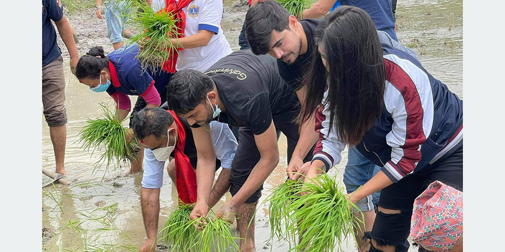 ‘खेलाडी  खेतमा दुई दिन’ अभियान