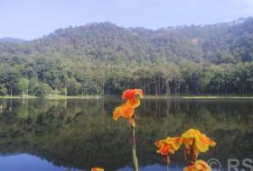 आहा  !  आलिताल