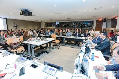 जीवन विज्ञानद्वारा संयुक्त राष्ट्रसङ्घमा ध्यानसम्बन्धी कार्यक्रम प्रस्तुत