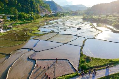 वर्षा कम हुँदा गण्डकीमा अपेक्षित रोपाइँ हुन सकेन