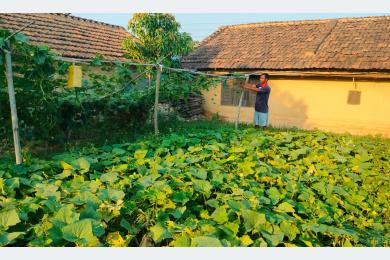 कृषि क्षेत्रमा १० प्रतिशत बजेट विनियोजन गर्न माग