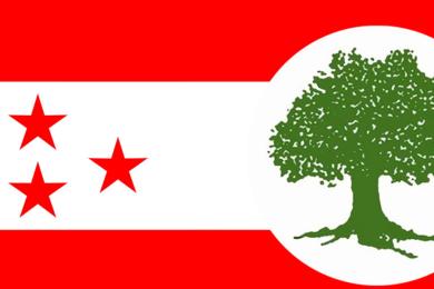 संसद् विघटन संविधानको परिकल्पना र सर्वोच्च अदालतको व्याख्याविपरीतः कांग्रेस