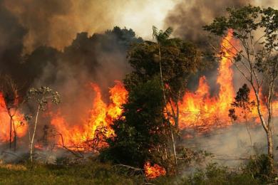 यस्ता छन् डढेलोका बहुअसर