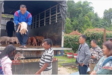 महिला, अपाङ्गता भएका र विदेशबाट फर्किएकालाई बङ्गुरका पाठा