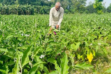 ‘सिरहामा पत्रकार थपलियाले बदलेको छवि’