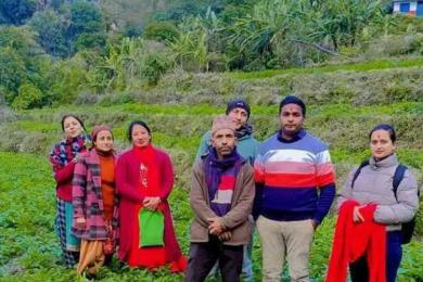 आमा समूहद्वारा सामूहिक आलुखेती