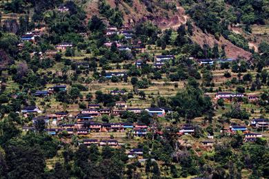 गाउँ रित्तिने चिन्तामा बुढापाका, वनमाराले ढाक्यो खेतीयोग्य जमिन 