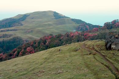 एक लाख पर्यटक भित्र्याउने लक्ष्यसहित ‘मुन्दुम ट्रेल’ भ्रमण वर्ष मनाइने 
