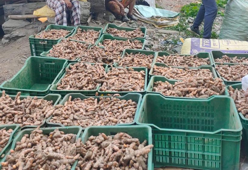 बेसार प्रवर्द्धनमा जुट्यो इलामको रोङ गाउँपालिका